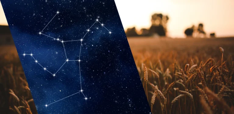 Constelação no Céu Noturno sobre Campos de Trigo - Estudo da Astronomia e Conexão com a Terra"