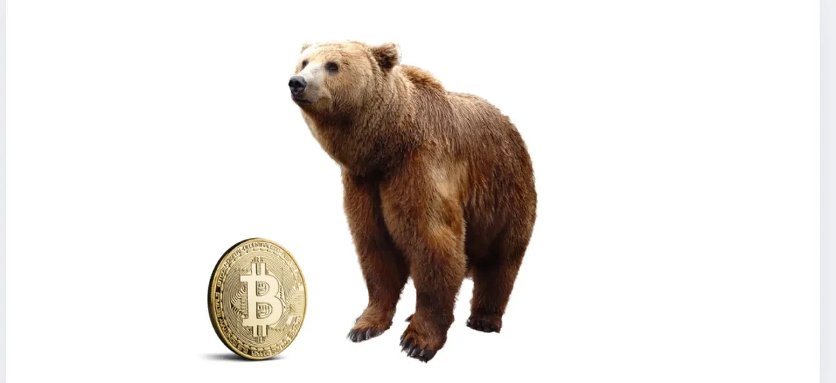 Urso ao lado de uma moeda Bitcoin representando estratégia de bear put spread em criptoativos
