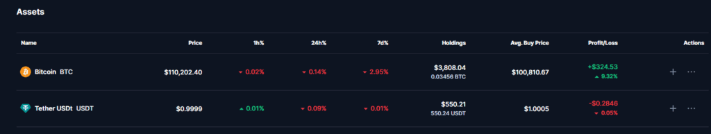 Tabela de desempenho do portfólio Dama DeFi destacando o prejuízo de julho e a recuperação posterior