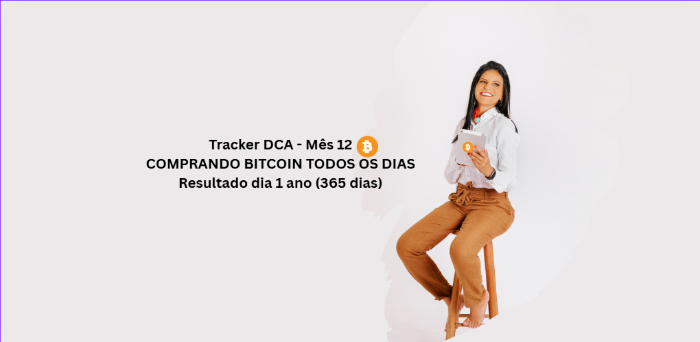 tracker DCA Bitcoin 1 ano